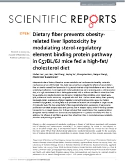 Dietary fiber prevents obesity-related liver lipotoxicity