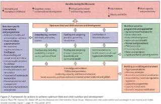 Framework Actions to Acheive Optimum Fetal Child Nutrition Development
