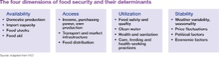 The Four Dimensions of Food Security and Determinants