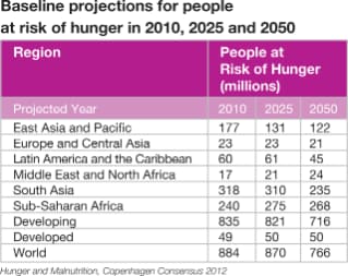 Projections for Hunger Risks 2010, 2025, 2050