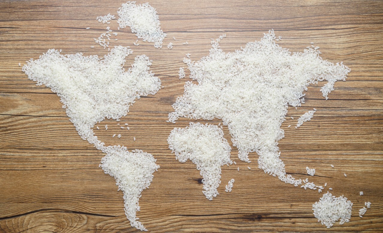 Map of the World made by rice